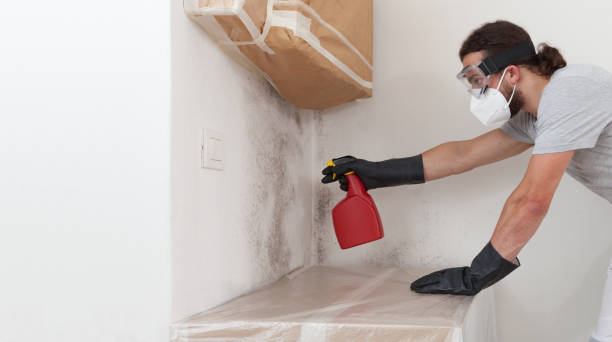Professional Crawl Space Mold Remediation technician working in Red Bank, NJ