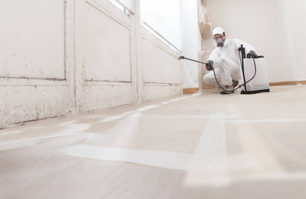 24/7 Emergency Crawl Space Mold Remediation experts in Red Bank, NJ