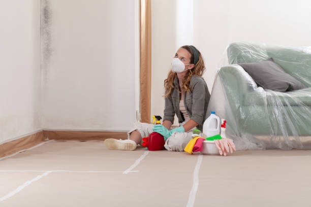 Reliable Crawl Space Mold Remediation contractor in Red Bank, NJ by 24 Hour Mold Removal